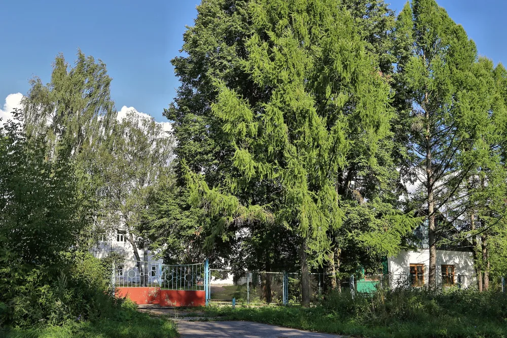 Усадьба (Петрово-Городище)