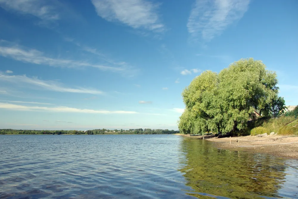 Боровно
