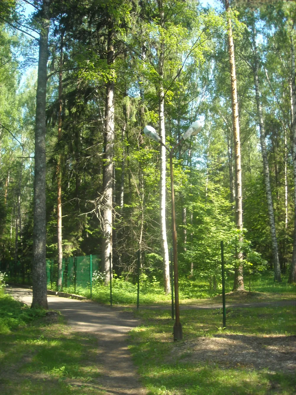 Парк при даче Дурдина (Кстово)