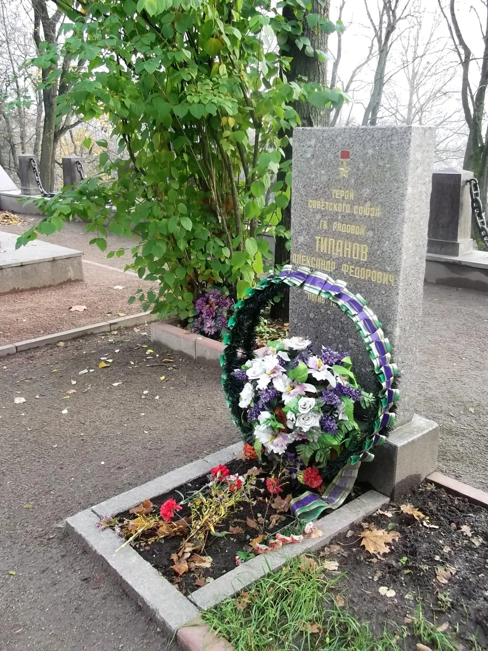 Могила А.Ф. Типанова (1924-1944), Героя Советского Союза (Красное Село)