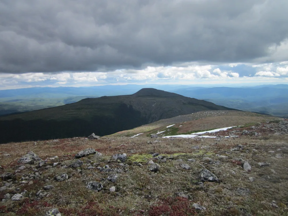 Болотная (гора)