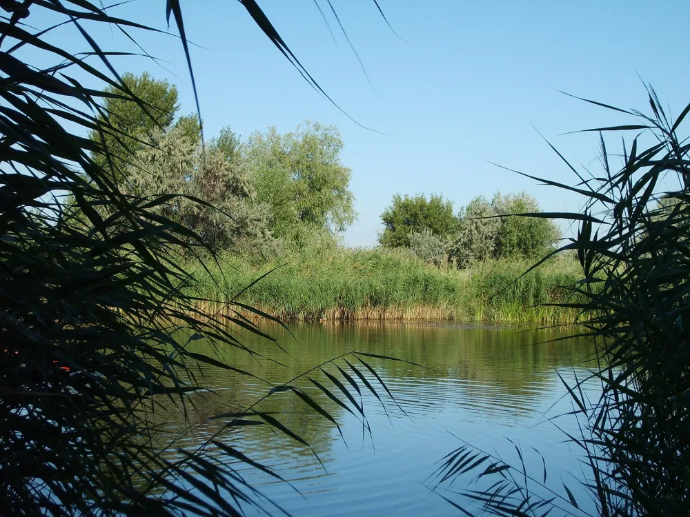 Лагутник