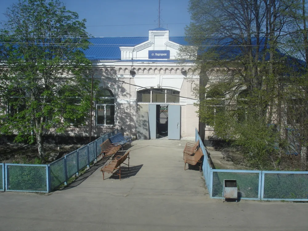 Подгорное