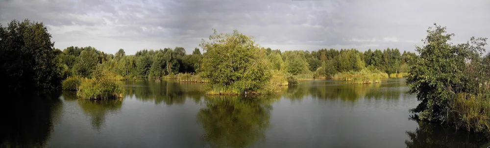 Усень