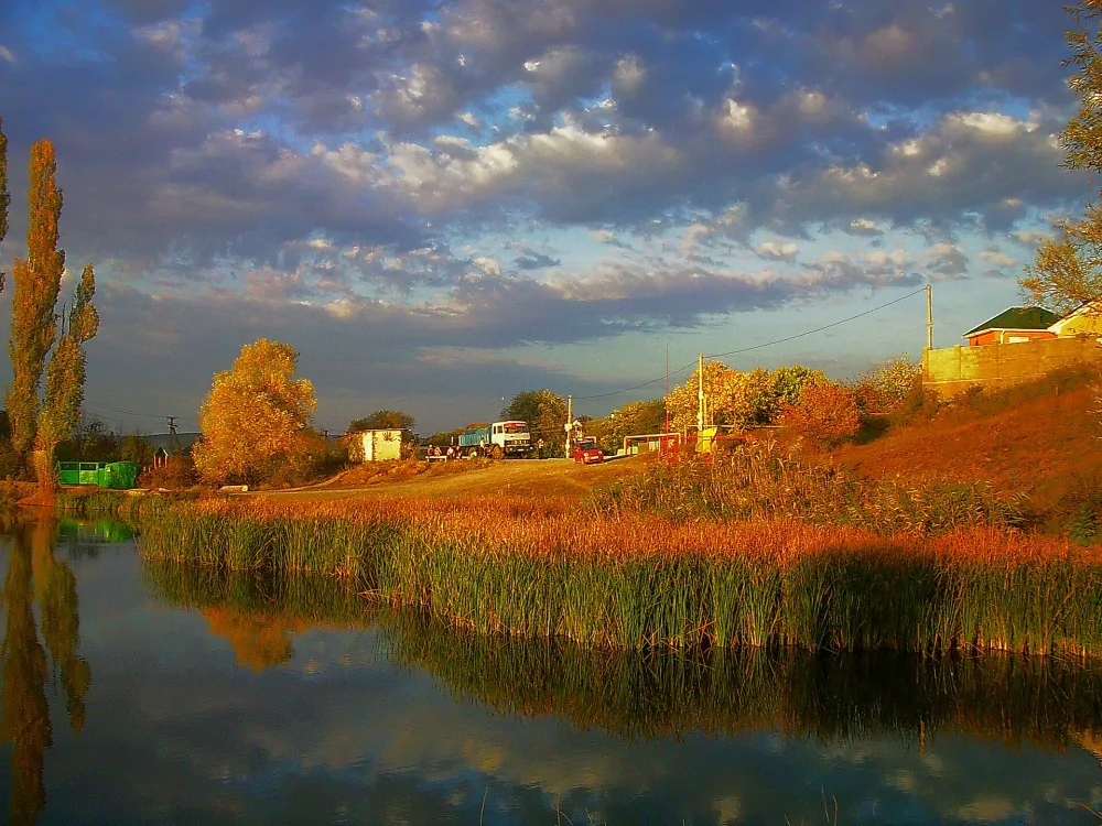 Курцы