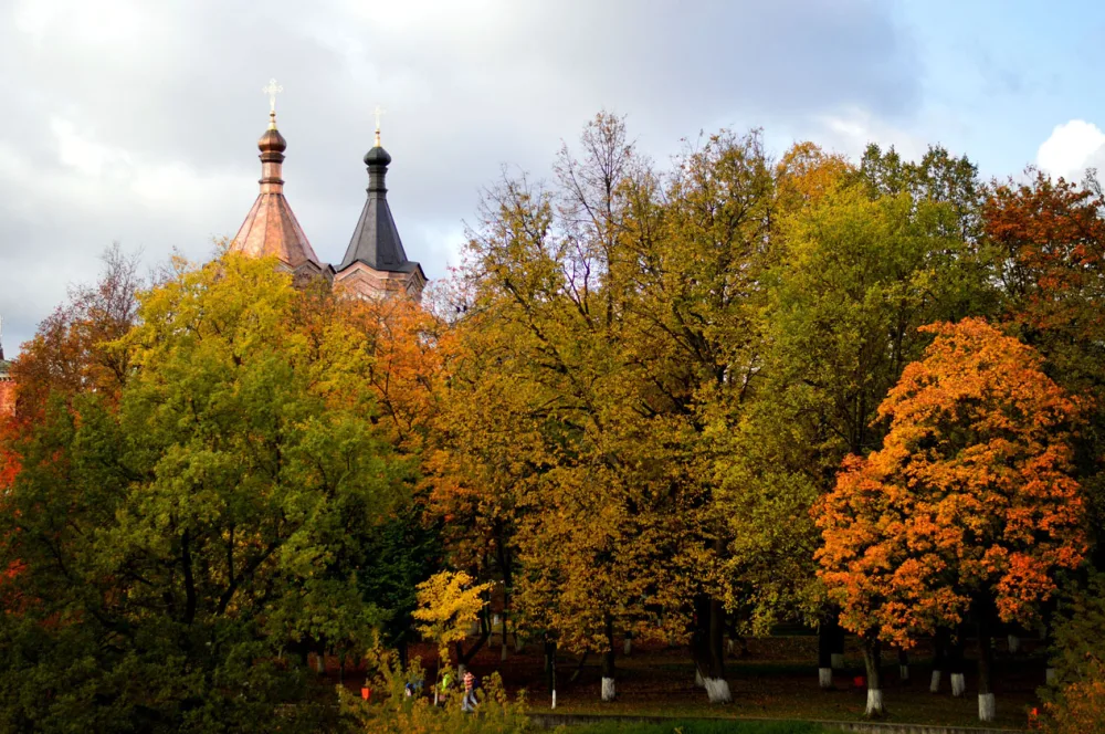Городской сквер (1 га) (Луга)