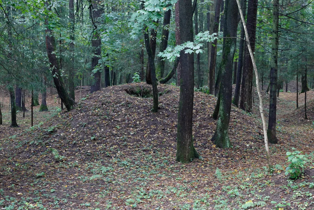 Одинцовские курганы