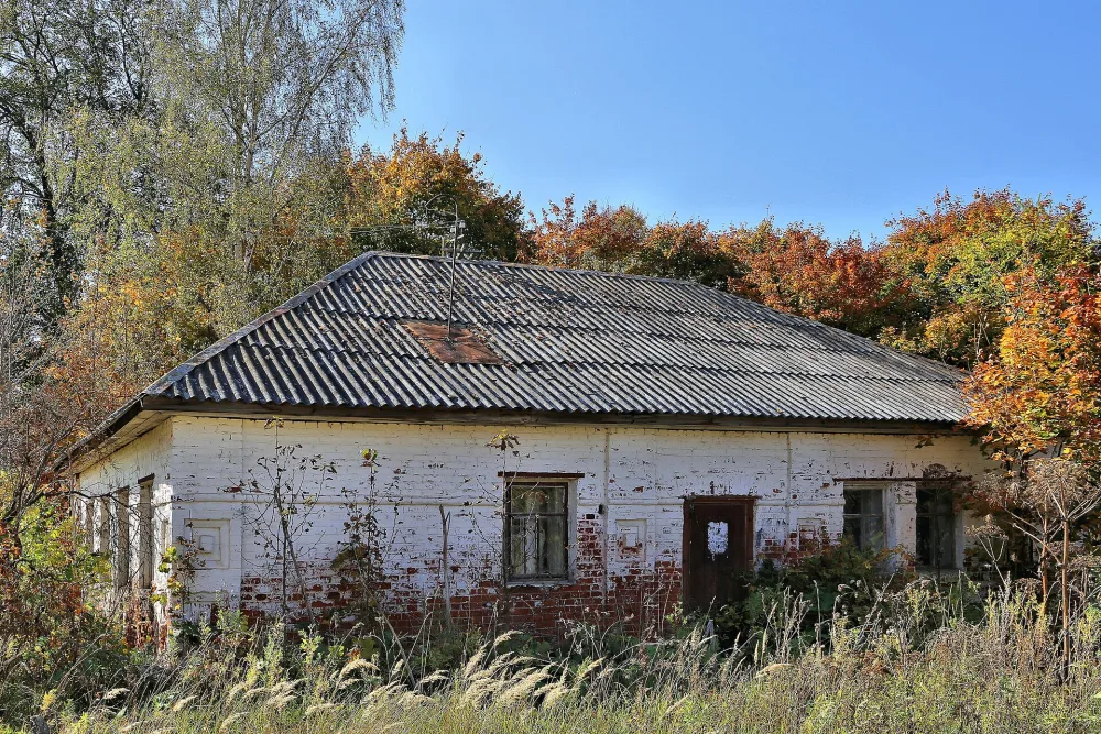 Дом купца Софронова (Шапкино)