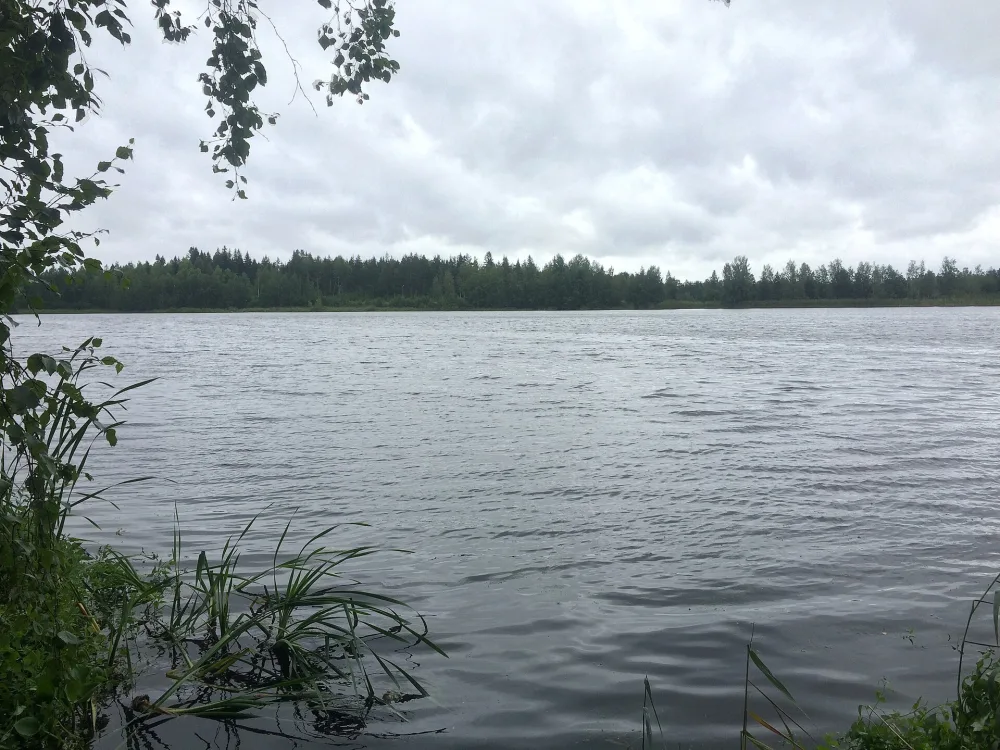 Дроздово озеро