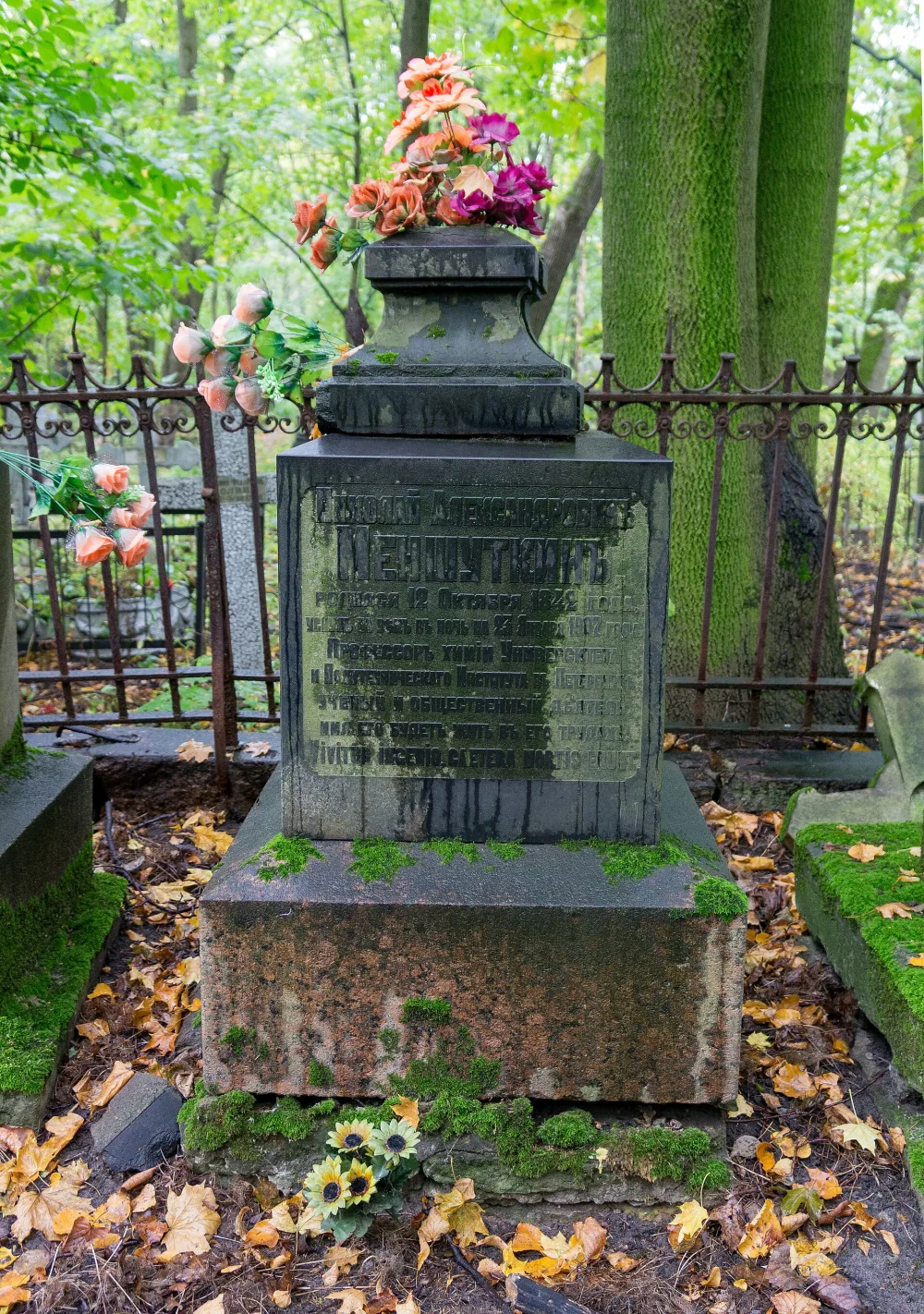 Могила Н.А. Меншуткина (1842-1907), химика