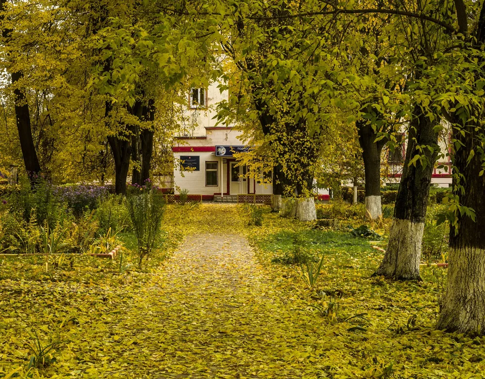 Парк (Электроугли)