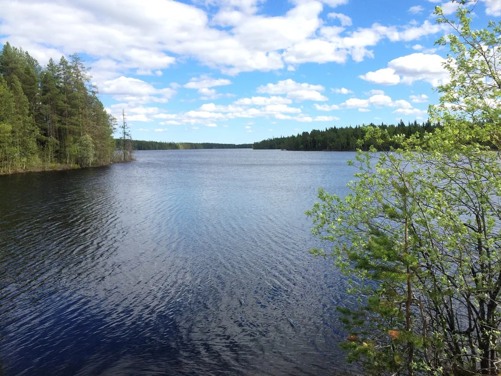 Амбарное (озеро, Карелия)