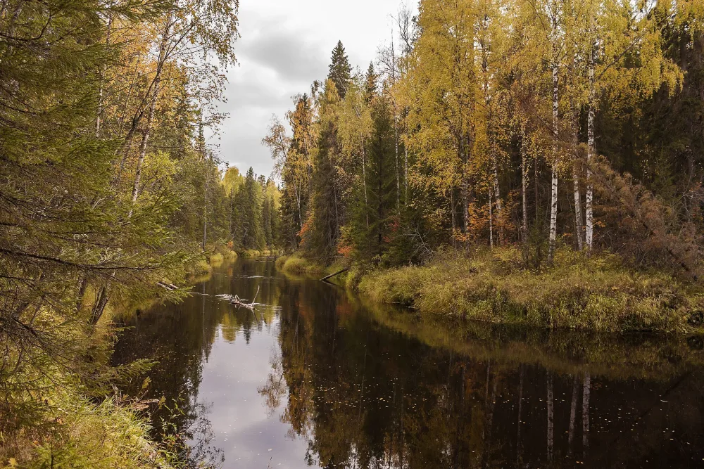 Мехреньга