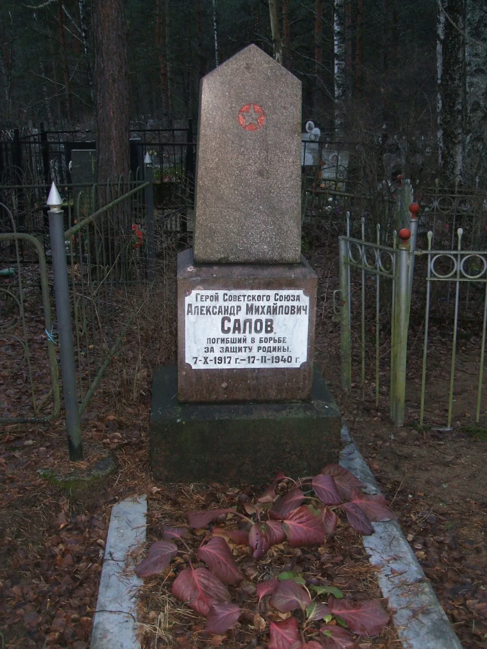 Могила А.М. Салова, Героя Советского Союза (Сестрорецк)