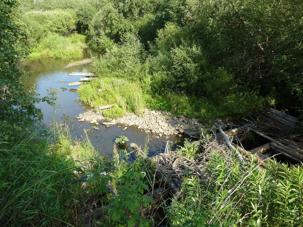 Куркатау