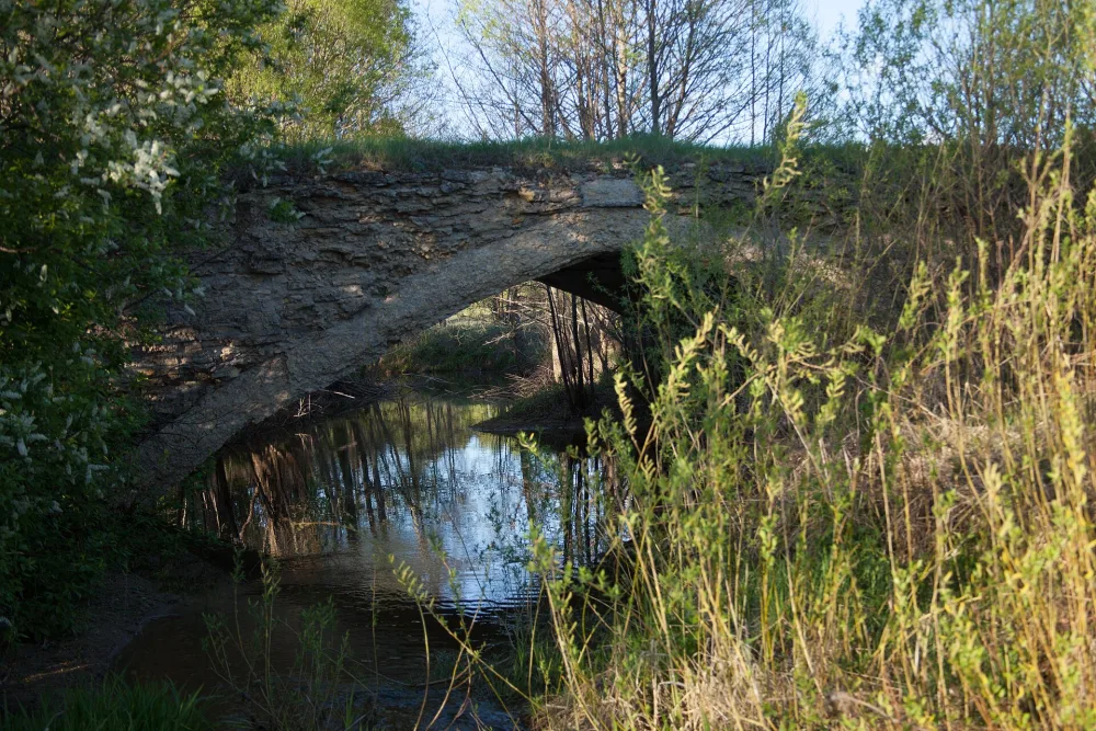 Ужовка