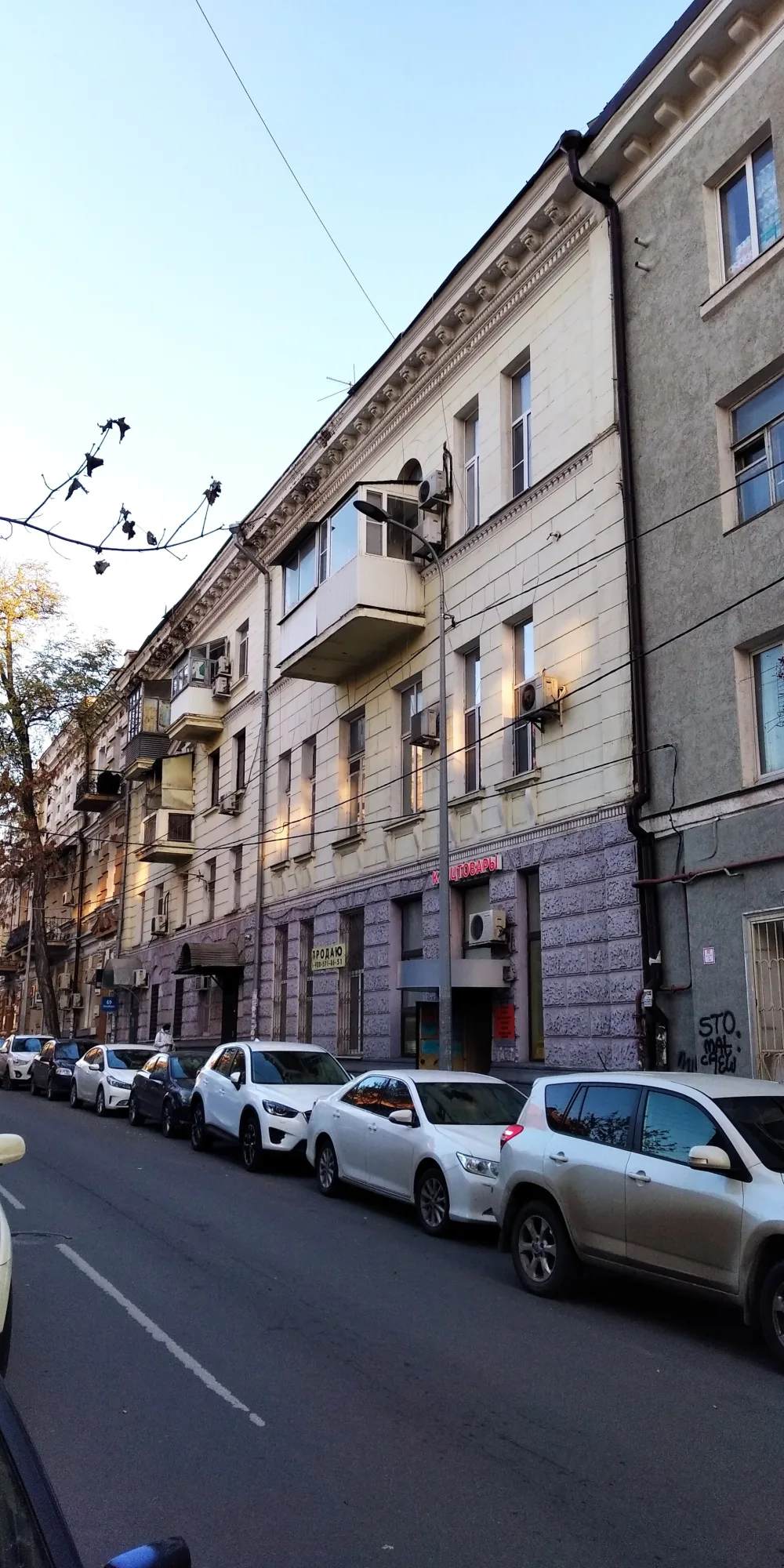дом Погодина