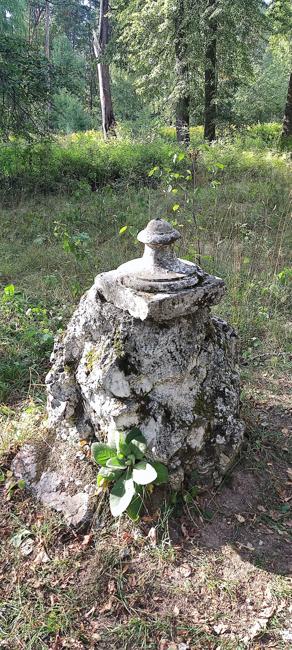 Фонтаны (Иваново)