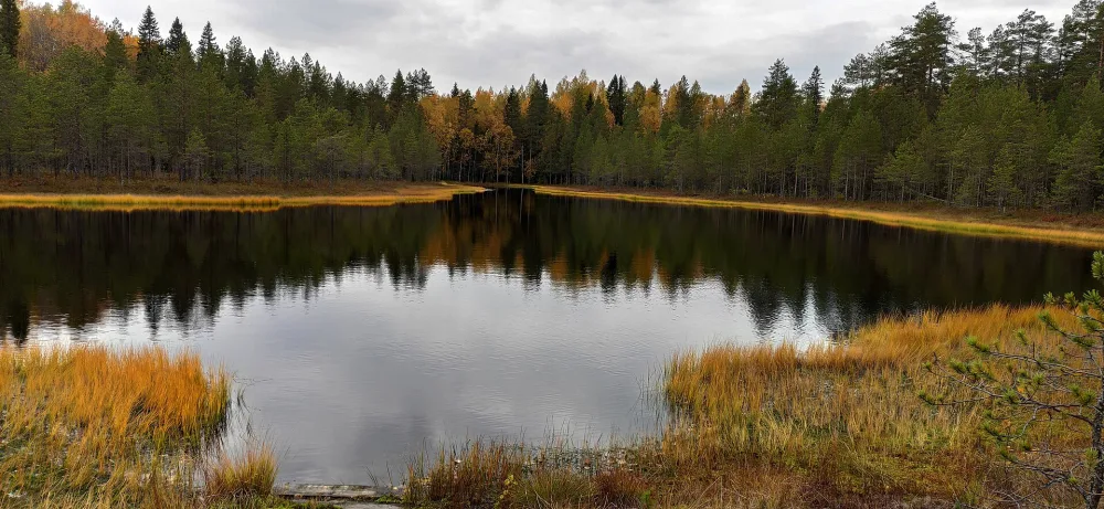 Урская Ламба