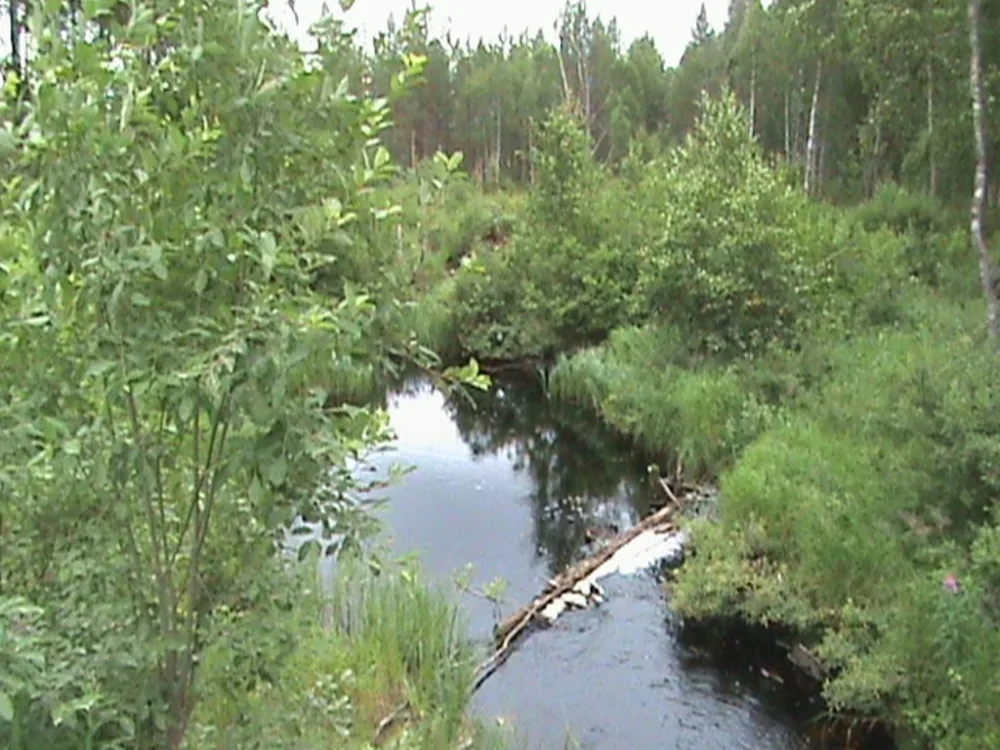 Колласйоки