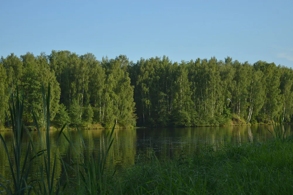 Харинка