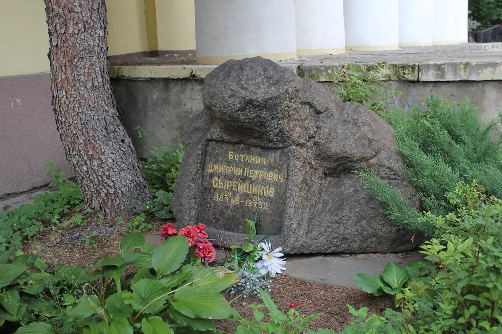 Могила Сырейщикова Дмитрия Петровича (1868-1932), ботаника (Алексеевский)