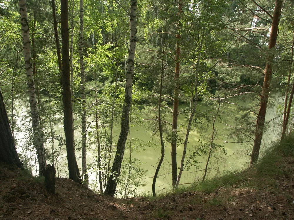 Раздельная река