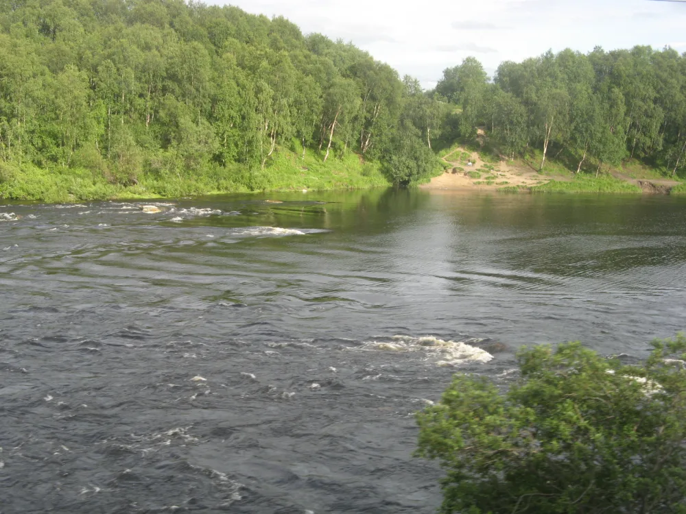 Кола