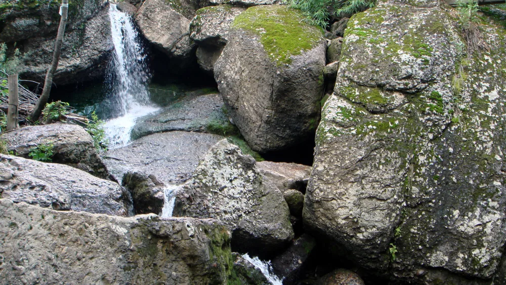Кукраук