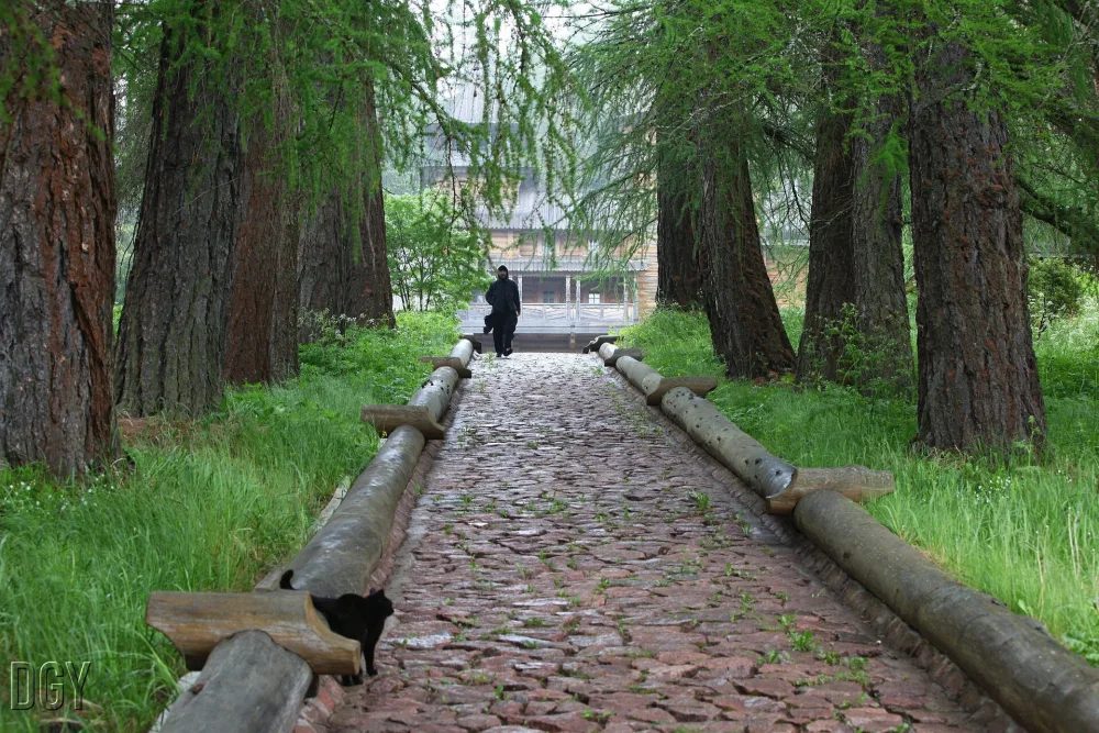 Лиственничная аллея (Сортавальское г.п.)