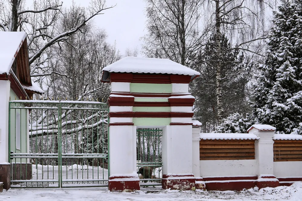 Ограда с воротами (Колягино)