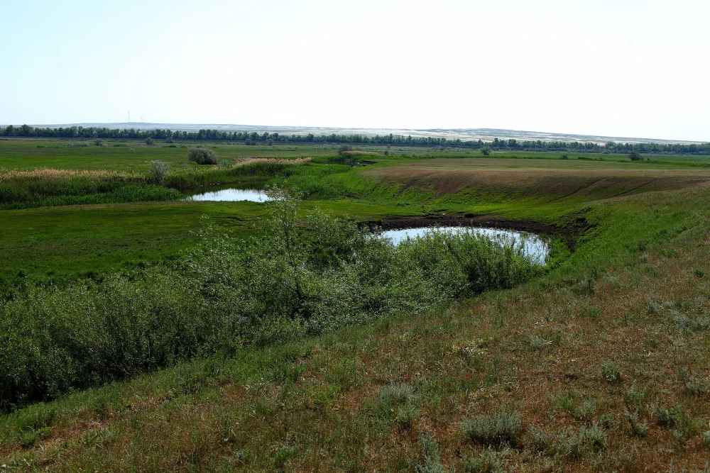 Елшанка