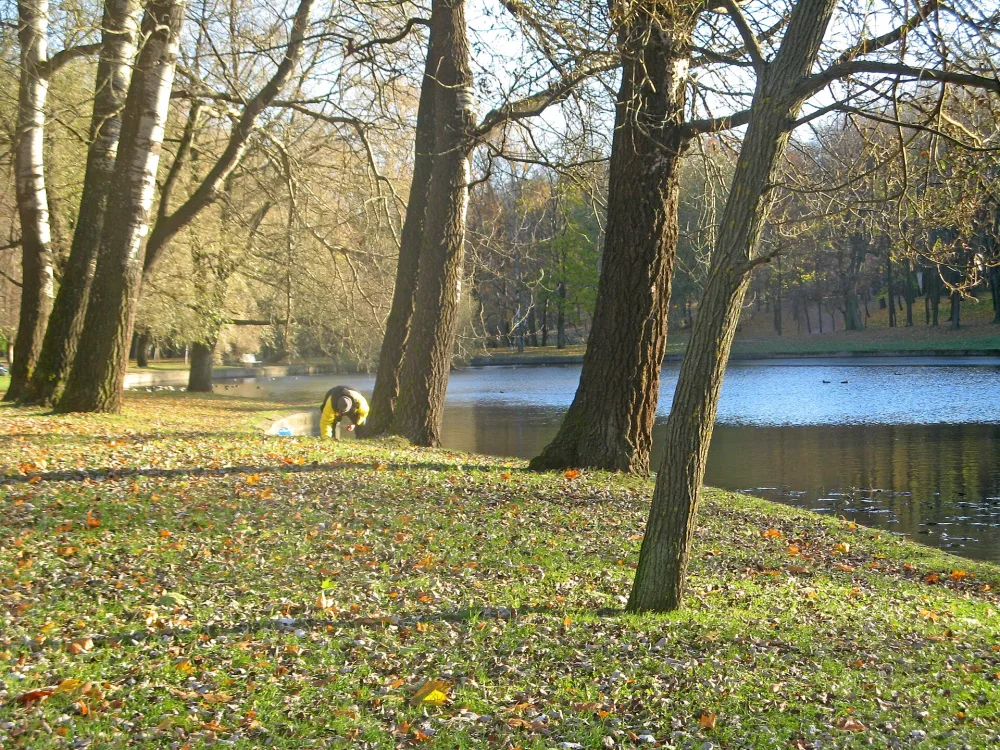 Парк с прудом