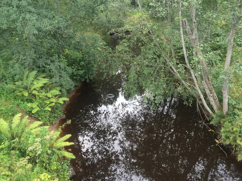 Гимрека