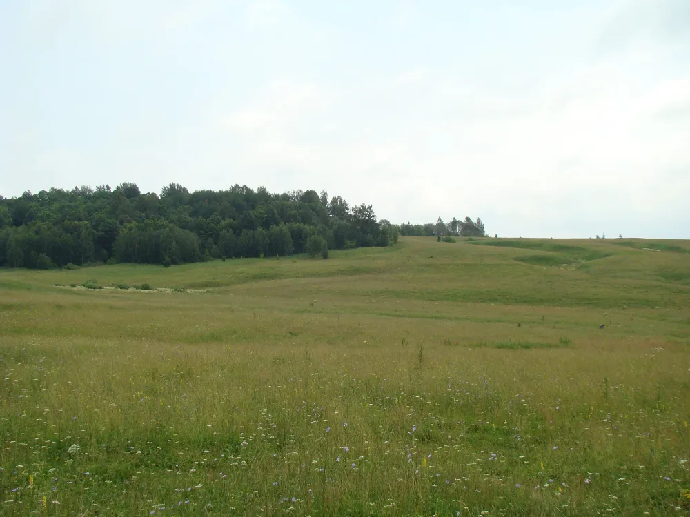 Лучинник