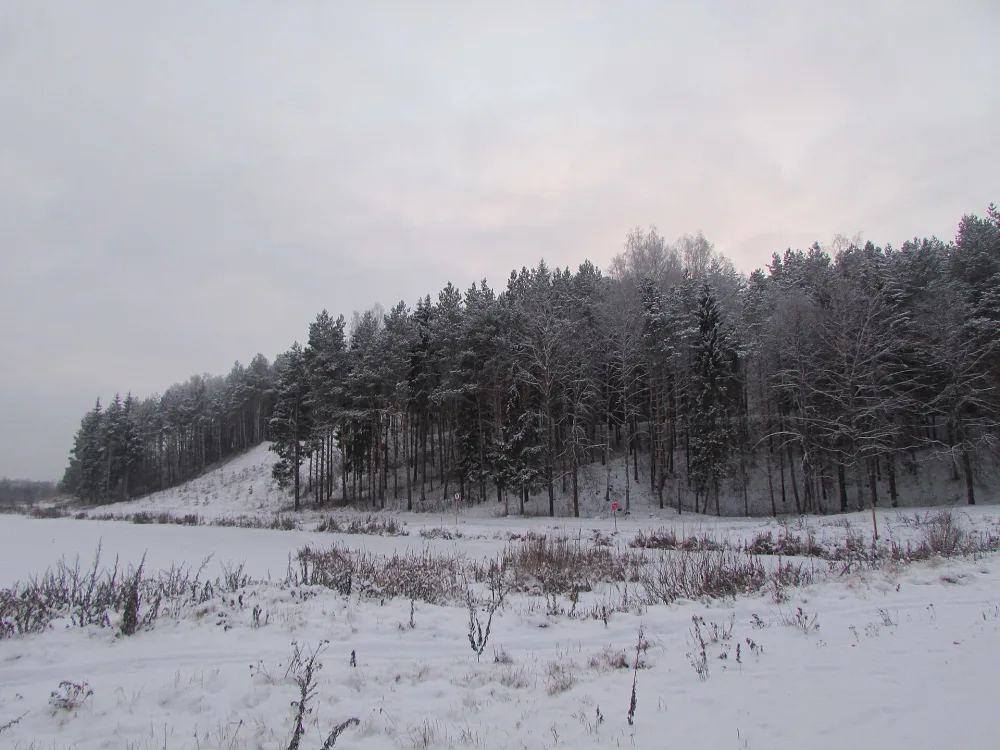 Белая (крепость)
