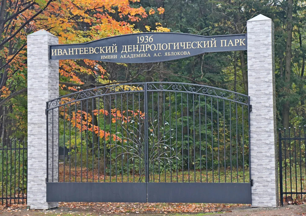 Ивантеевский дендрологический парк им. академика А. С. Яблокова