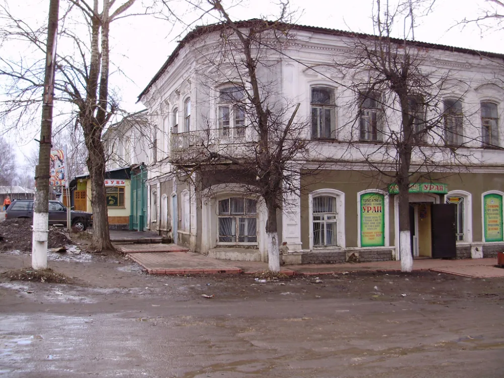 Дом Визгалина (Ардатов)