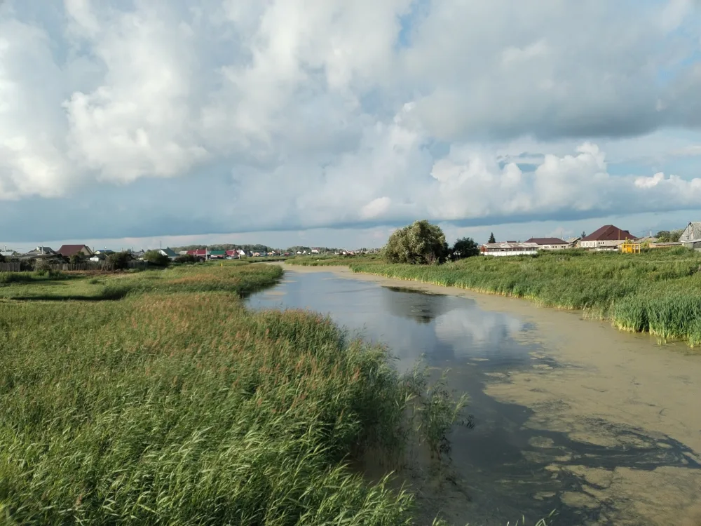 Саргатка