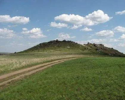 Камышинские уши