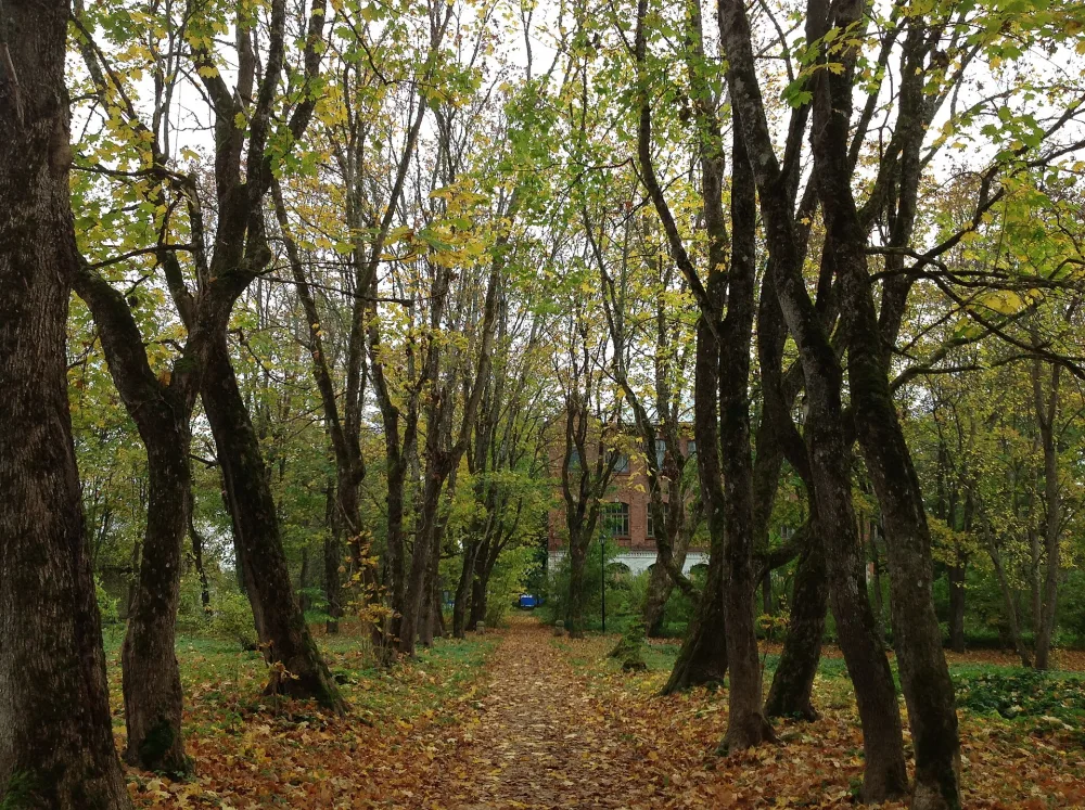 Парк (Беседа)