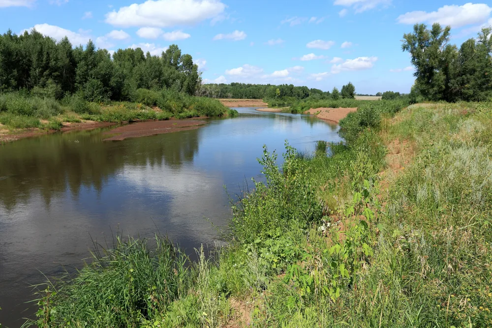 Салмыш