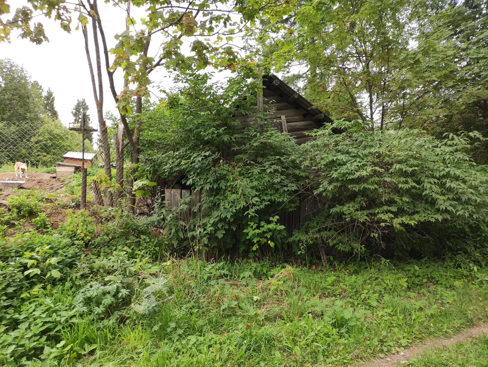Амбар (Судиславль)