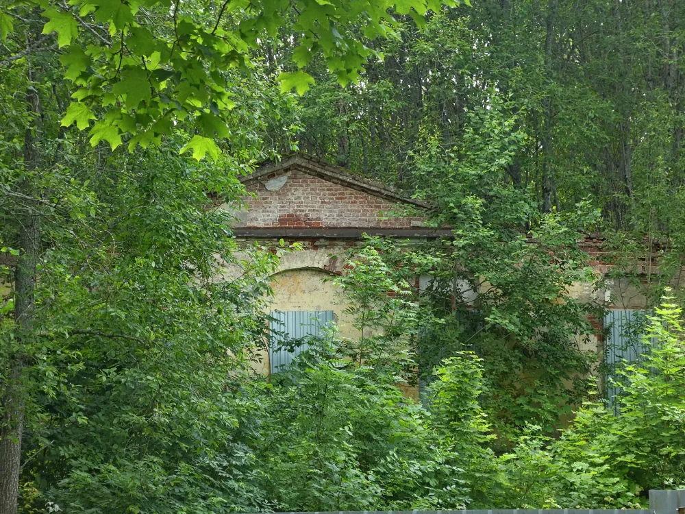 Погребной флигель (корпус) (Ропша)