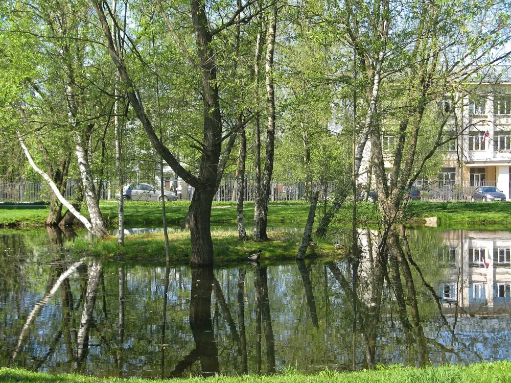 Фигурный пруд (Ломоносов)