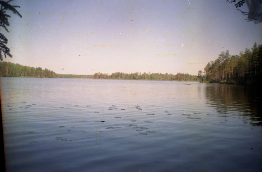 Кодаярви
