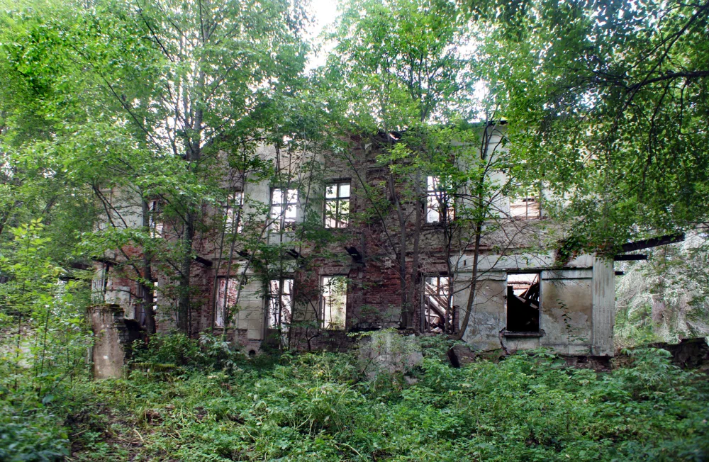 Усадьба Толстых "Бухвостово" (Бухвостово)