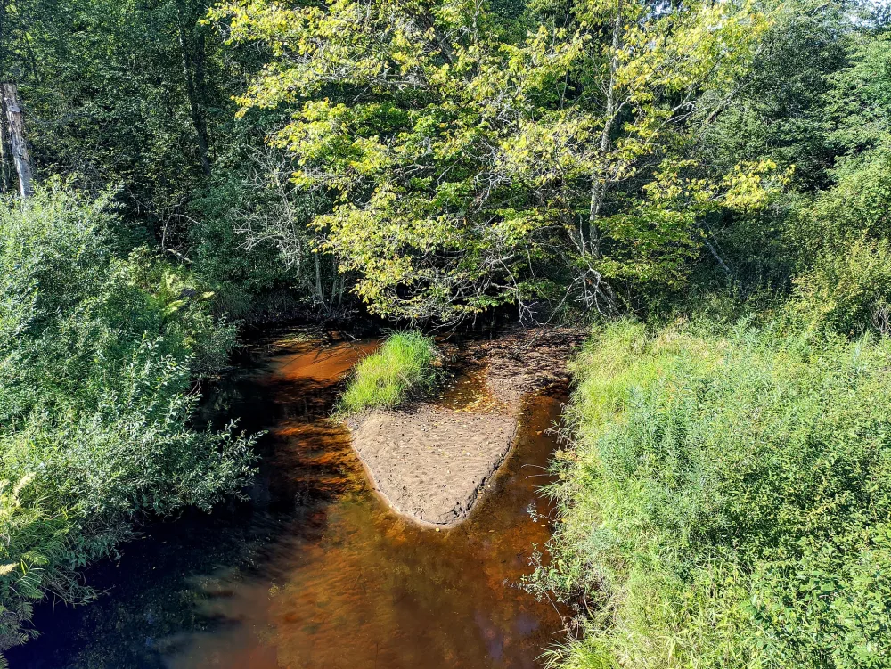 Ореховка