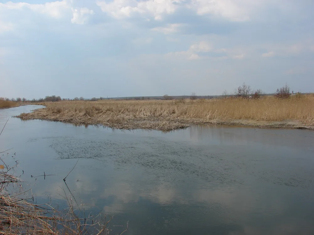 Потудань