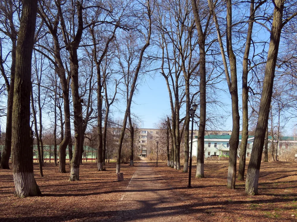 Парк (Дубровицы)
